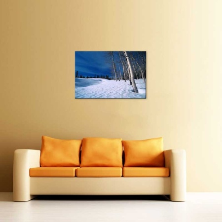 Tablou Canvas iarna in padure