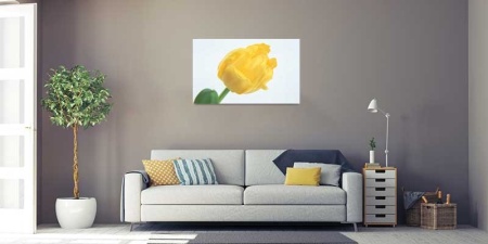 Tablou Canvas Lalea