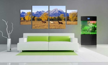 Tablou Canvas Multicanvas Cai pe Camp