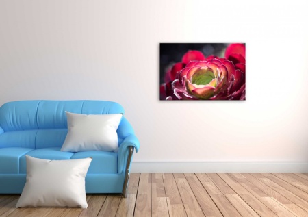 Tablou Canvas natura floare rosie