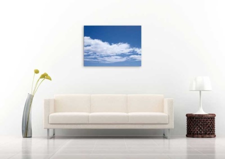 Tablou Canvas Nori Albi pe Cer