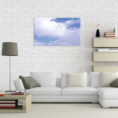 Tablou Canvas Nori Albi pe Cer