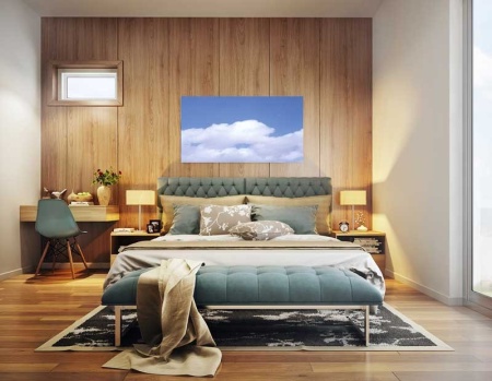 Tablou Canvas Nori Albi pe Cer