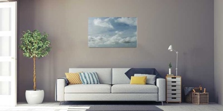 Tablou Canvas Nori Albi pe Cer