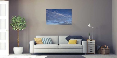 Tablou Canvas Nori Albi pe Cer
