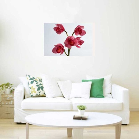 Tablou Canvas Orhidee