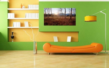 Tablou Canvas Padure Dimineata