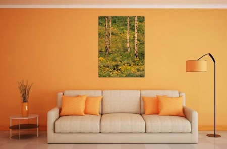 Tablou Canvas Padure Primavara