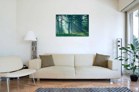 Tablou Canvas Padure