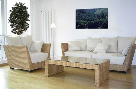 Tablou Canvas Padure