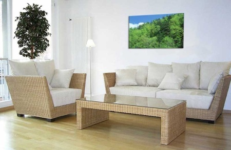 Tablou Canvas Padure