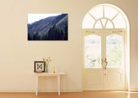 Tablou Canvas Padure