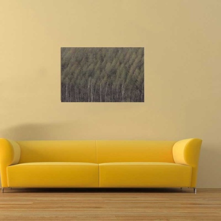 Tablou Canvas Padure