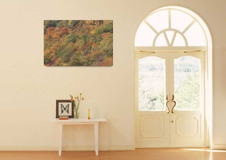 Tablou Canvas Padure