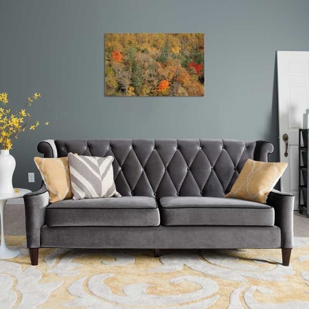 Tablou Canvas Padure
