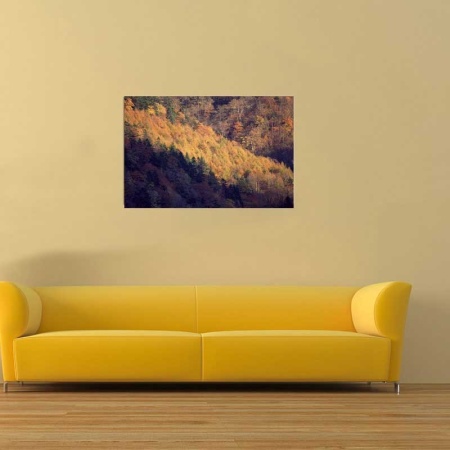 Tablou Canvas Padure