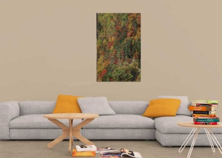 Tablou Canvas Padure