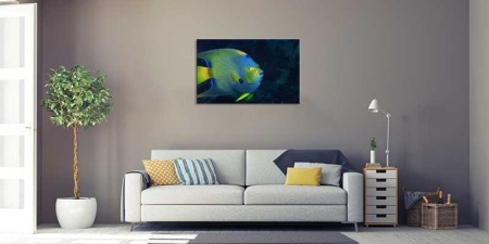 Tablou Canvas Peste
