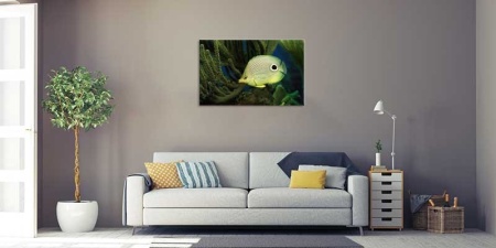 Tablou Canvas Peste