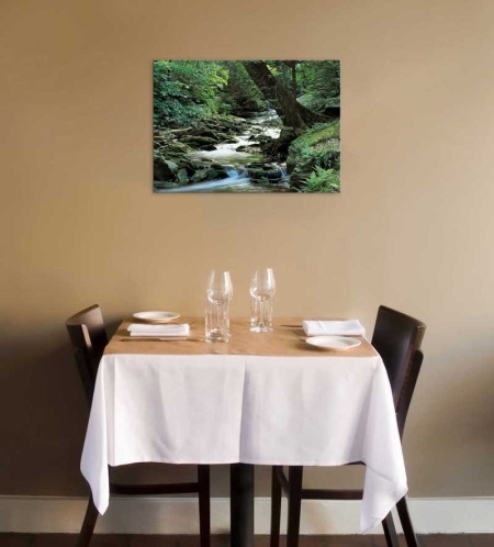 Tablou Canvas Rau de munte