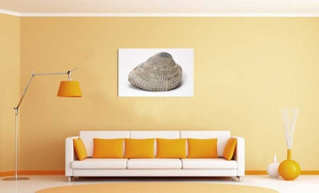 Tablou Canvas Scoica