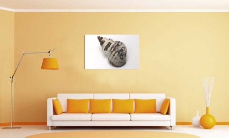 Tablou Canvas Scoica