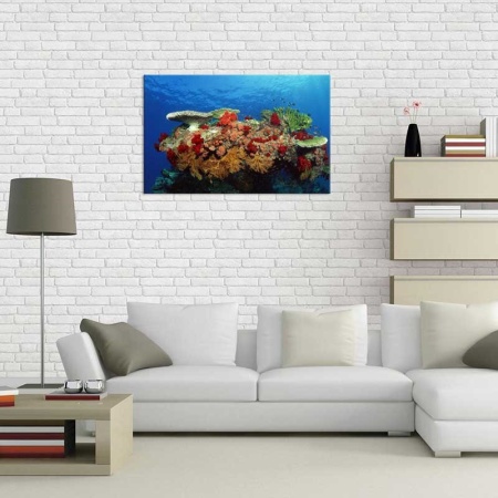 Tablou Canvas Subacvatic