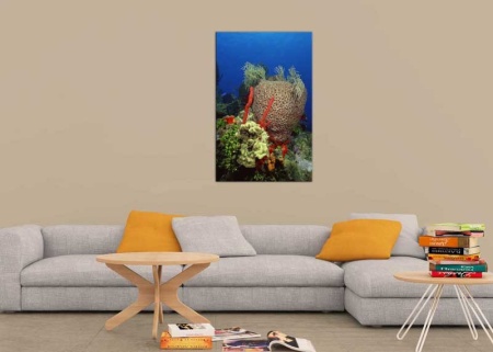 Tablou Canvas Subacvatic