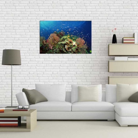 Tablou Canvas Subacvatic