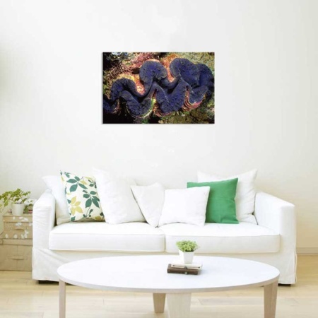 Tablou Canvas Subacvatic