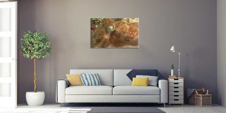 Tablou Canvas Subacvatic