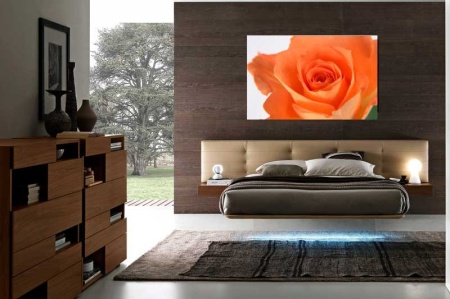 Tablou Canvas Trandafir
