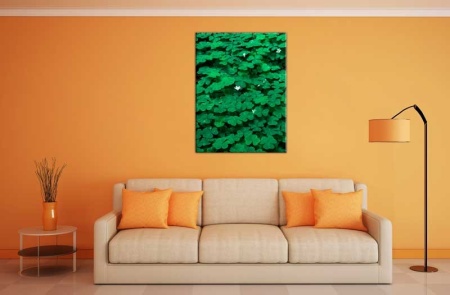 Tablou Canvas Trifoi