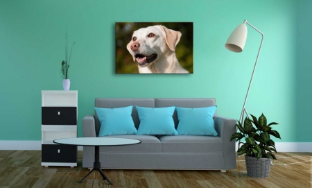 Tablou Canvas animale portret inedit