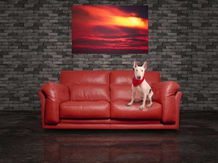 Tablou Canvas Apus de soare