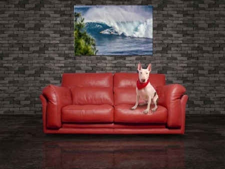 Tablou Canvas Concurs de Surfing