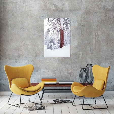 Tablou Canvas Copac cu zapada