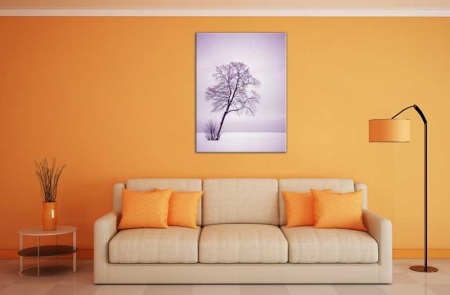 Tablou Canvas Copac in Zapada