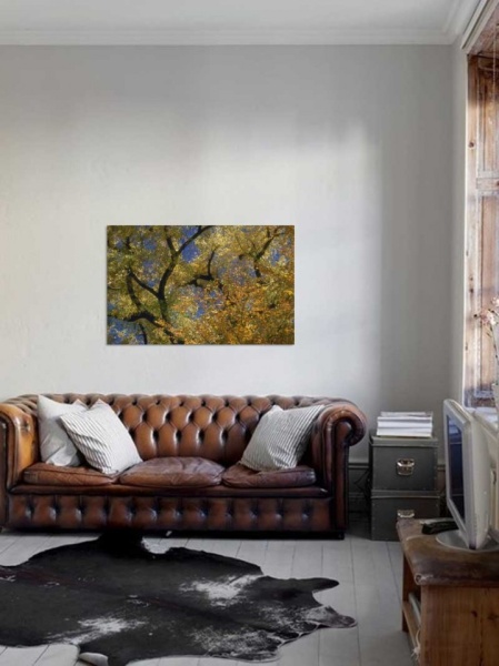 Tablou Canvas Copaci cu frunze galbene
