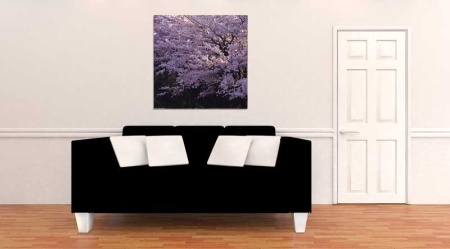 Tablou Canvas Copaci Infloriti