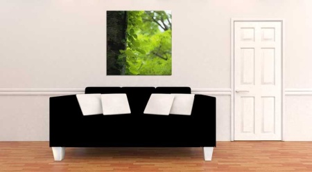 Tablou Canvas Copaci primavara