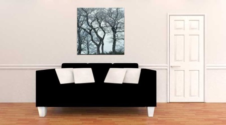 Tablou Canvas Copaci