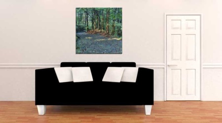 Tablou Canvas Copaci