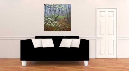 Tablou Canvas Copaci