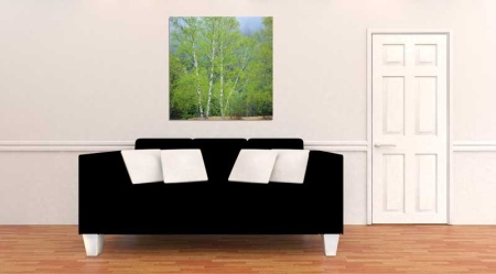Tablou Canvas Copaci