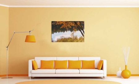 Tablou Canvas Copaci