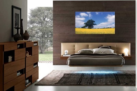 Tablou Canvas Copac