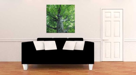 Tablou Canvas Copac