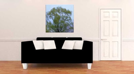 Tablou Canvas Copac
