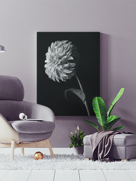 Tablou Canvas Floare Dahlia în Alb-Negru